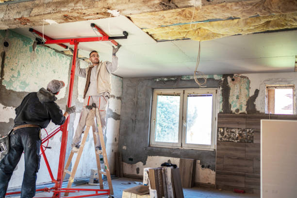 Best Attic Insulation Installation  in St Paul Park, MN